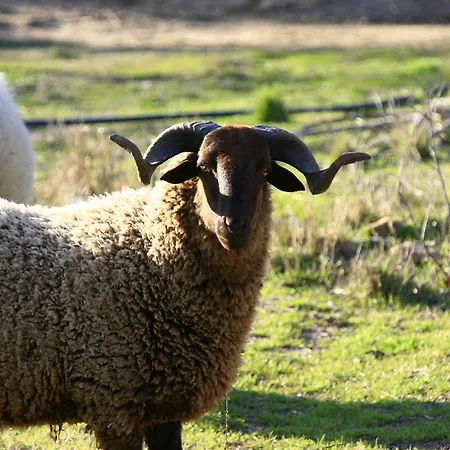 Séjour à la campagne Silene *