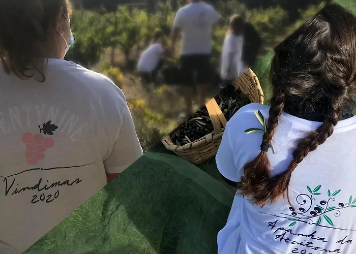 Casa de Campo Silene *