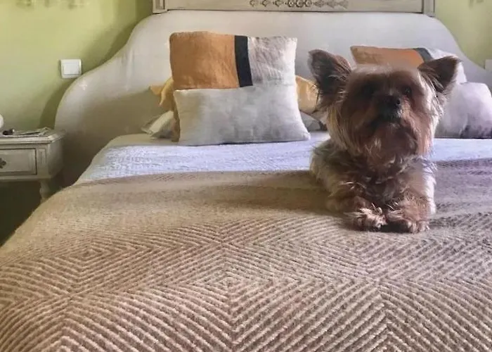 カントリーハウス Silene *