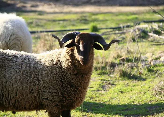 Séjour à la campagne Silene *