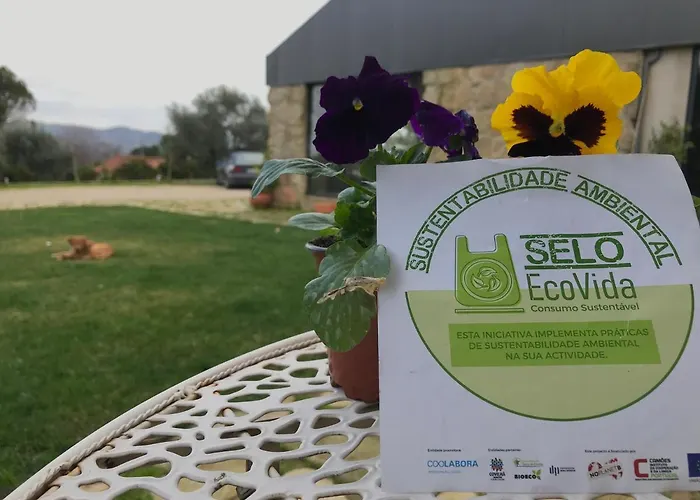 Silene Lantställe *